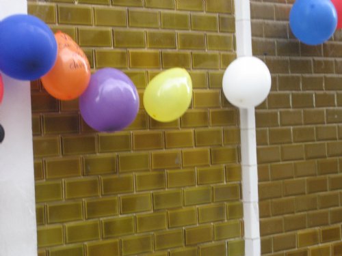 20100215133727235
