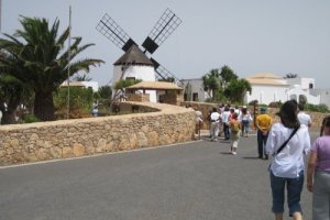20090708115846365