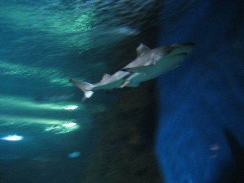 20120430203844267