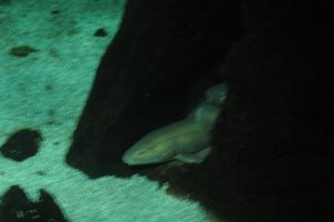 2012043020213117