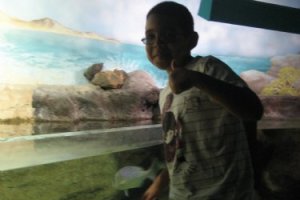 20120430202551892