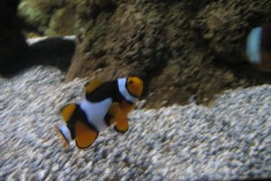 20120430203521939