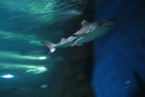 20120430203844267