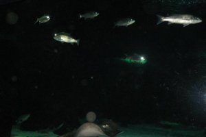 20120430205741736