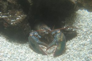 20120430210756126