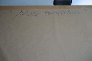 20120515194452977