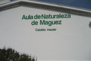 20120517174721551