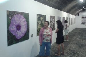 20120615133322271