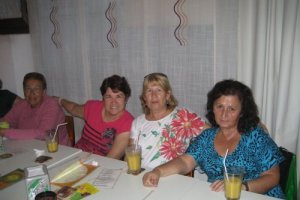 20121231104413772