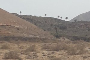 20190516_173804