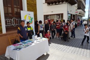 IMG-20190401-WA0006