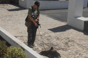 Encuentro Sonrisas Lanzarote 070.jpg