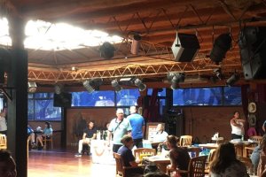 IMG-20180830-WA0007