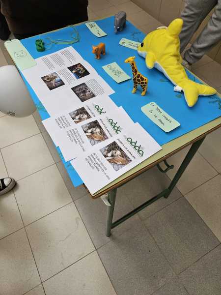 IMG-20231215-WA0068