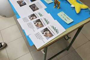 IMG-20231215-WA0068