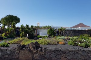 IMG-20191030-WA0022