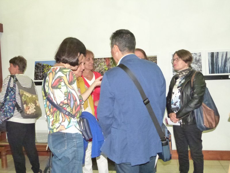 P2010390