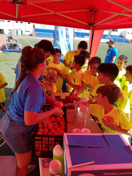 IMG-20190627-WA0013