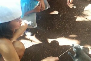IMG-20160912-WA0073