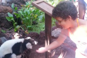 IMG-20160912-WA0094