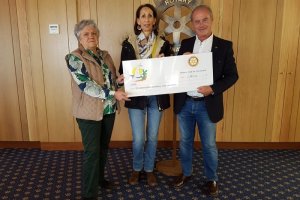 recaudacion-rotary