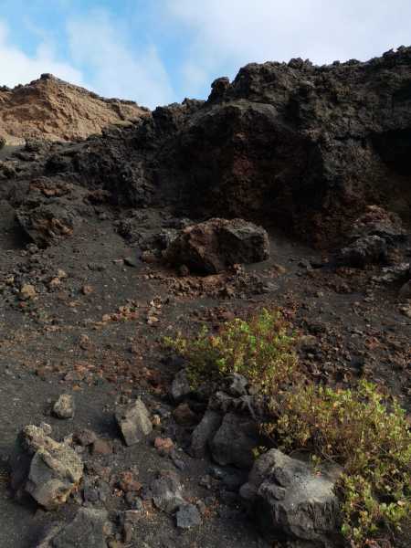 IMG-20210612-WA0025