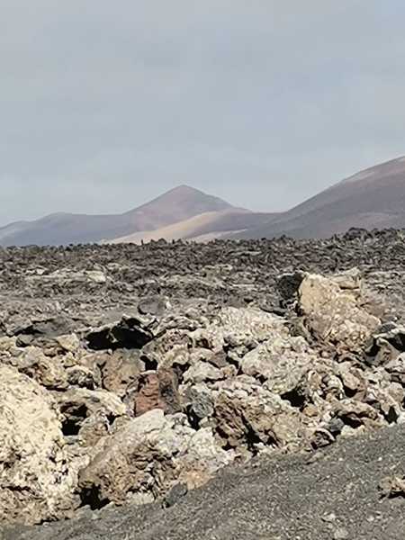 IMG-20210612-WA0031