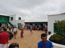 SUMMER POP A BENEFICIO DE AFOL