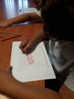 TALLER DE DORSALES CON LOS NIÑOS