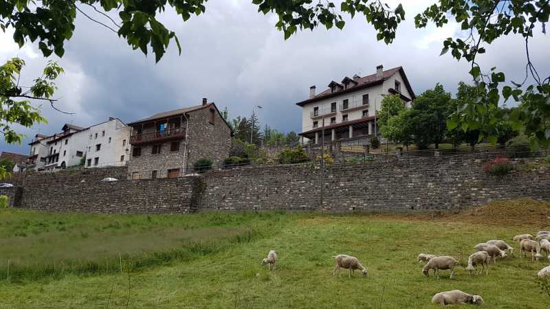 IMG-20230526-WA0010