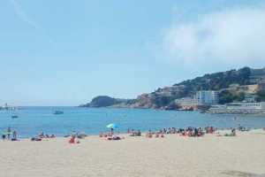 IMG-20220603-WA0009
