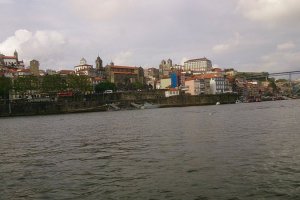 DSC_0581