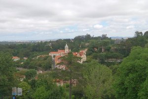 DSC_0650