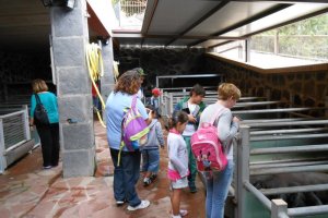 visita-a-la-finca-de-uga-mayo-2014-006