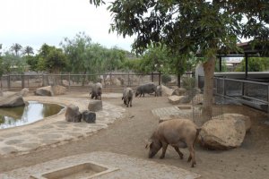 visita-a-la-finca-de-uga-mayo-2014-011