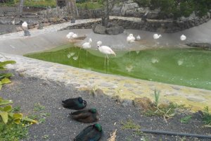 excursion-guinate-tropical-park-2015-042