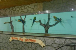 excursion-guinate-tropical-park-2015-064